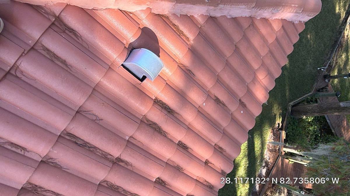 roof replacement in Palm Harbor, Florida