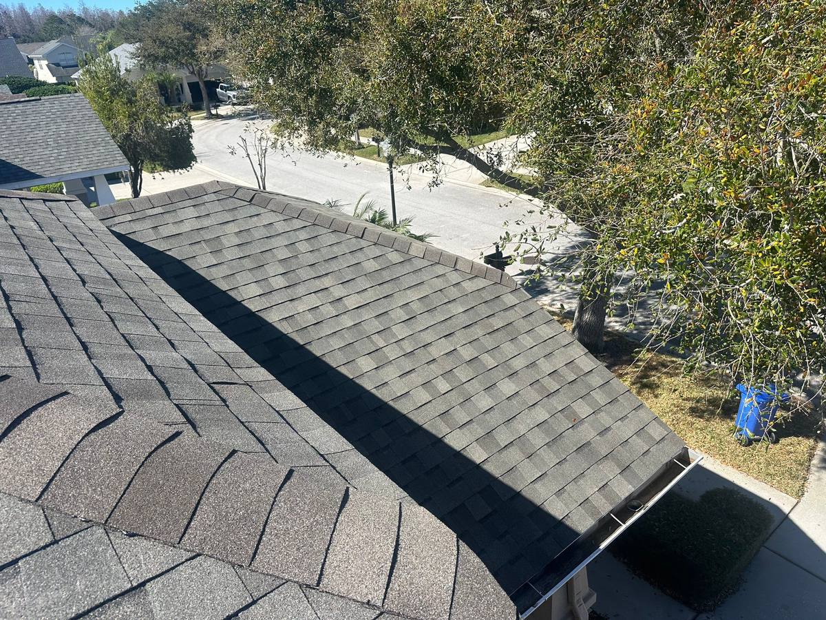 roof replacement in Lutz, Florida
