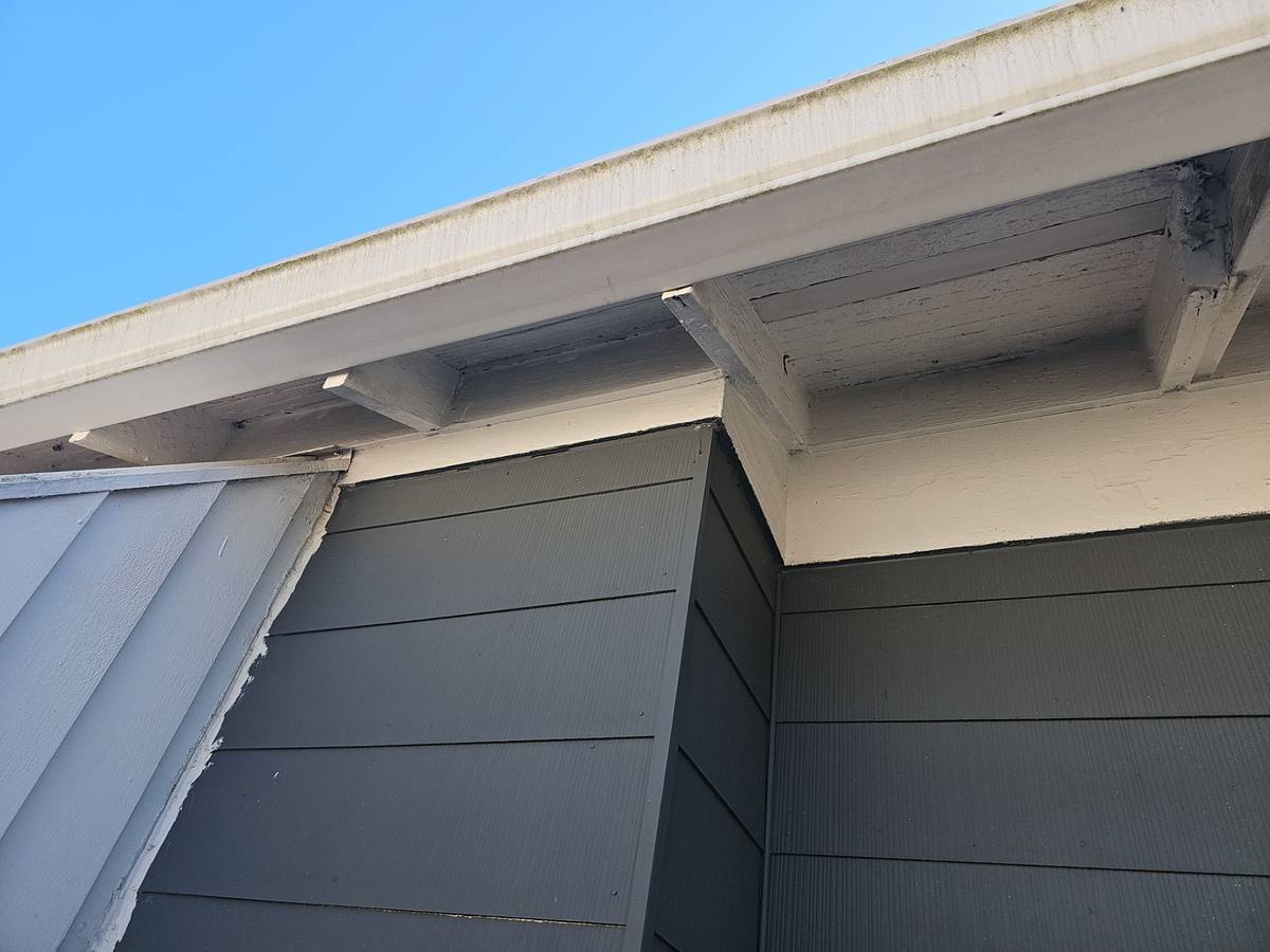 roof replacement in Tampa, Florida