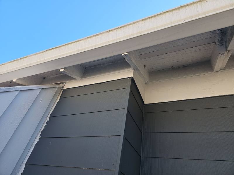 residential roof replacement by Hloska Roofing in Tampa