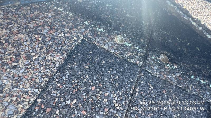 residential shingle roof replacement by Hloska Roofing in Wesley Chapel