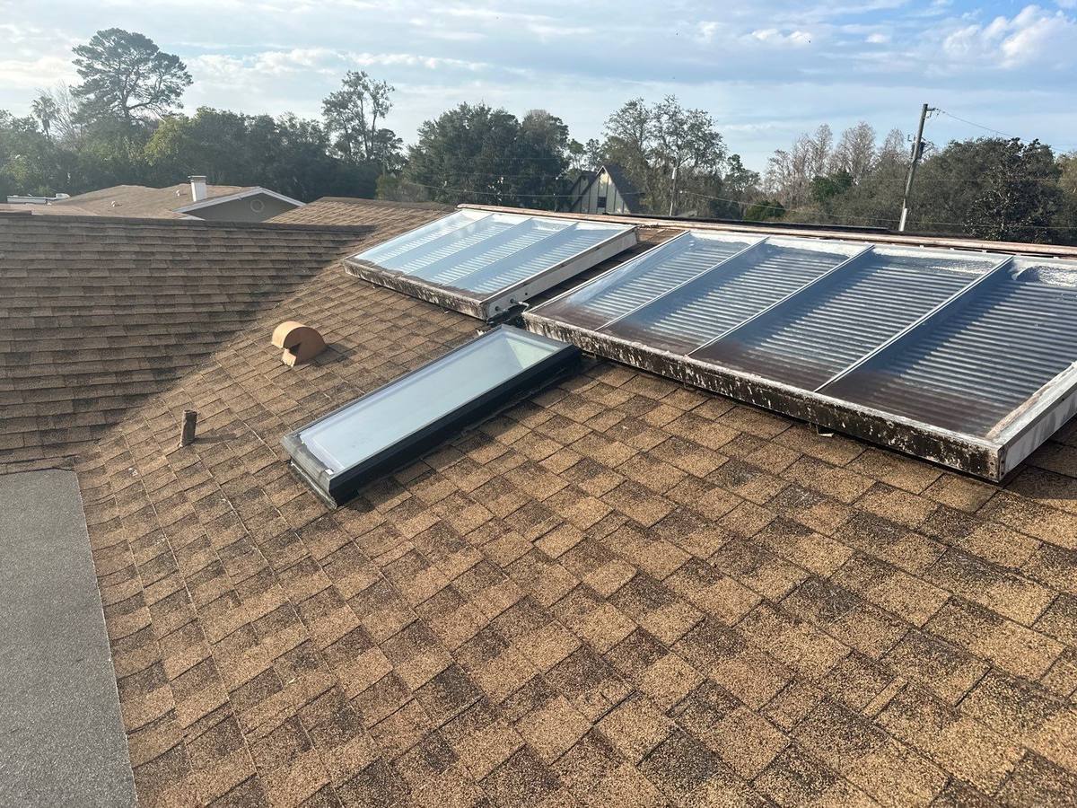 roof replacement in New Port Richey, Florida