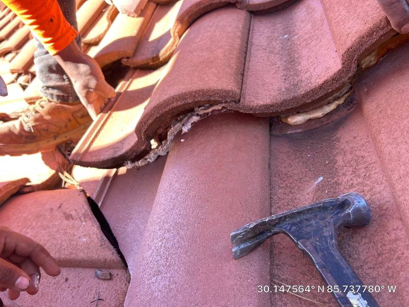 roofing project near Terra Cotta Dr in Panama City