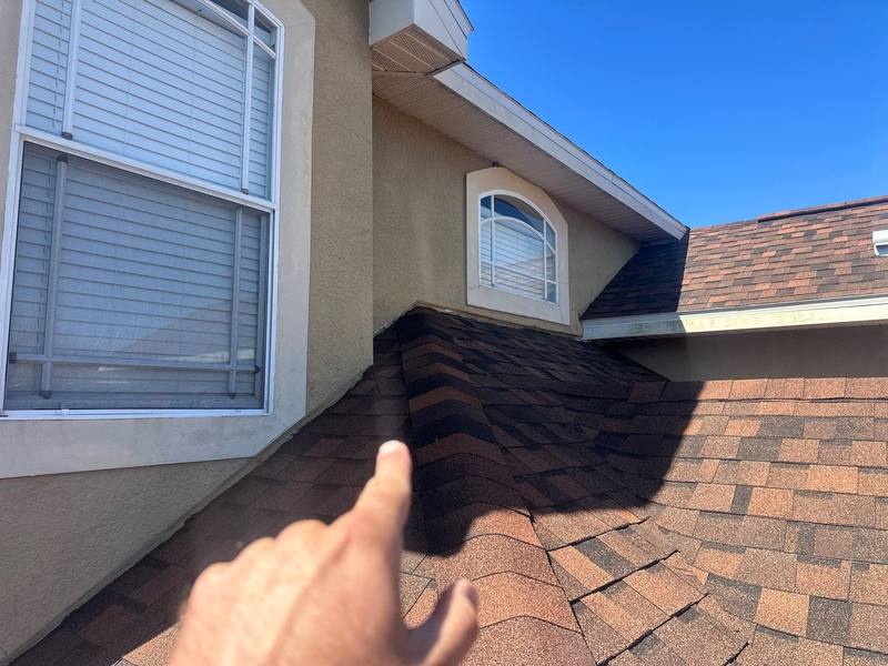 roof replacement in Wesley Chapel, Florida