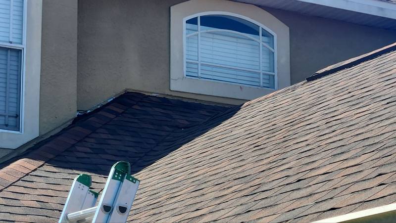 roofing project near Yan'S Ct in Wesley Chapel