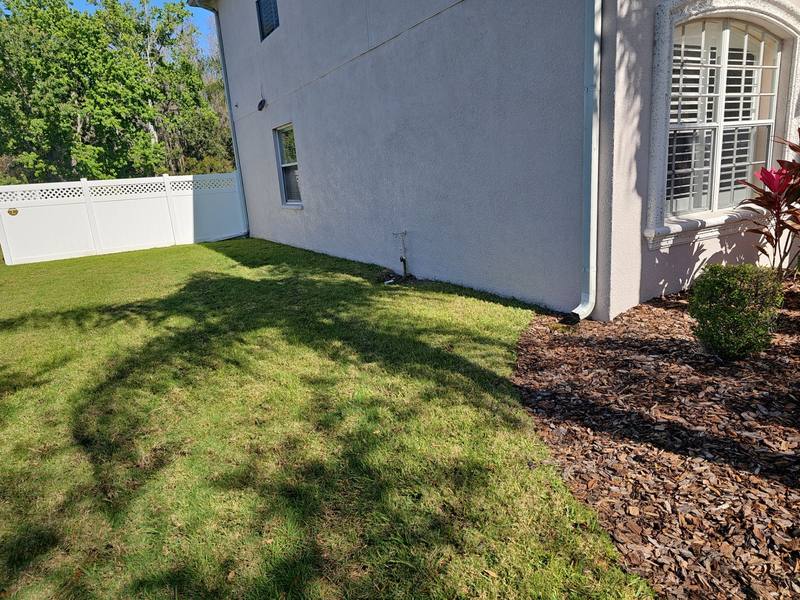 roof replacement in Wesley Chapel, Florida
