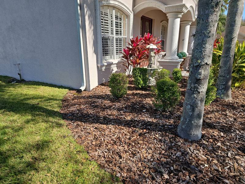roofing project near Roseling Ct in Wesley Chapel