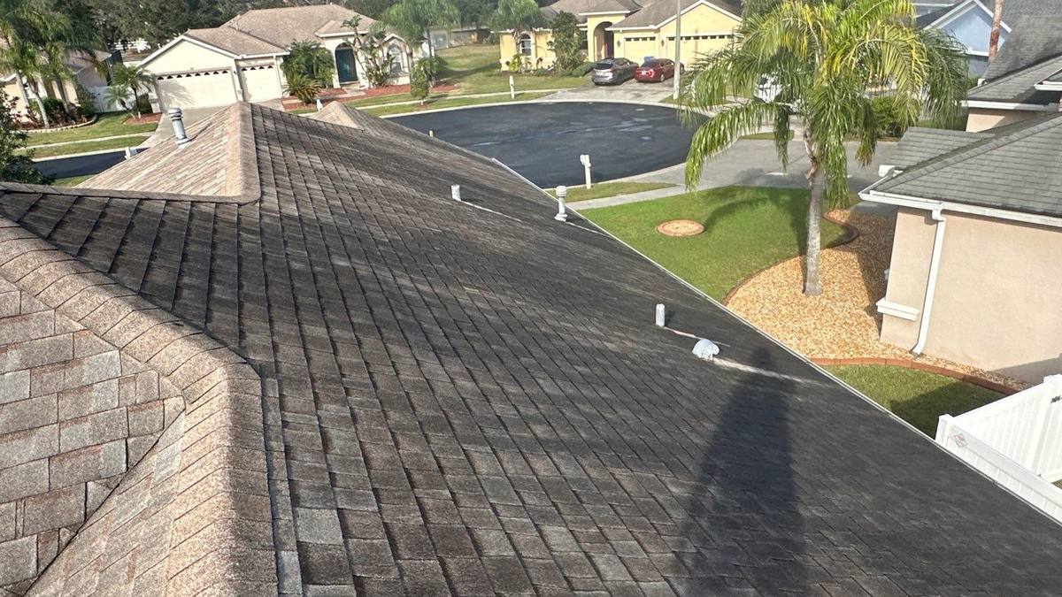 roof replacement in Wesley Chapel, Florida