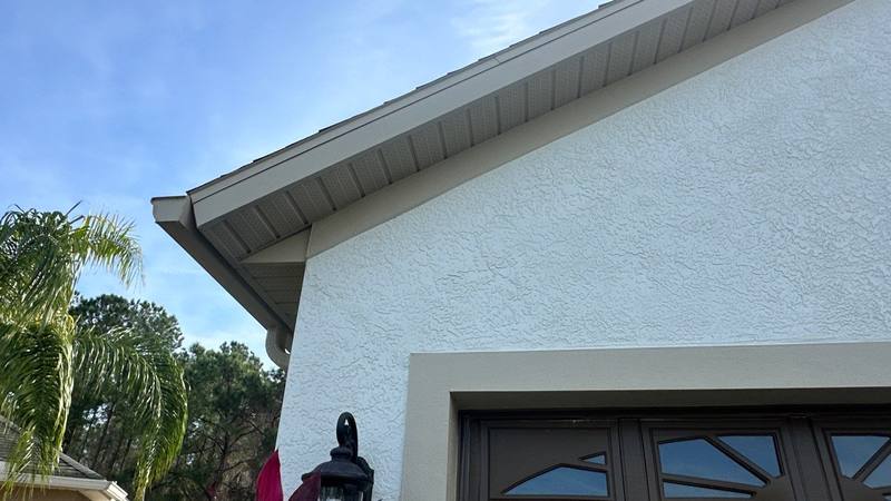 roof replacement in Wesley Chapel, Florida