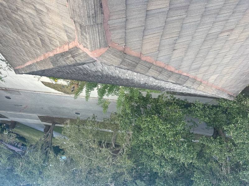 residential roof replacement by Hloska Roofing in Palm Harbor