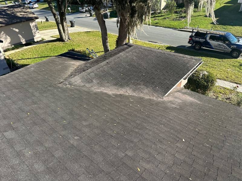 roof replacement in Lakeland, Florida