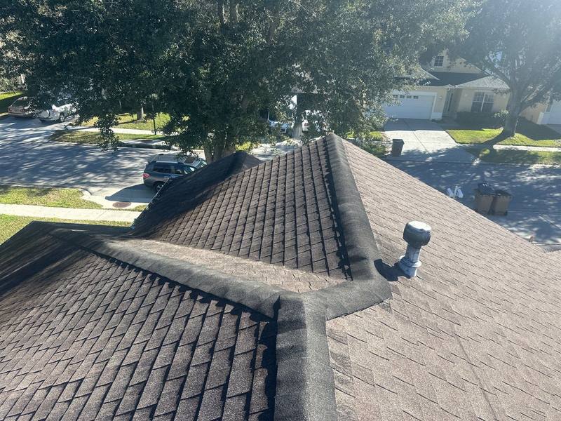 roofing project near Terrace Springs Dr in Temple Terrace
