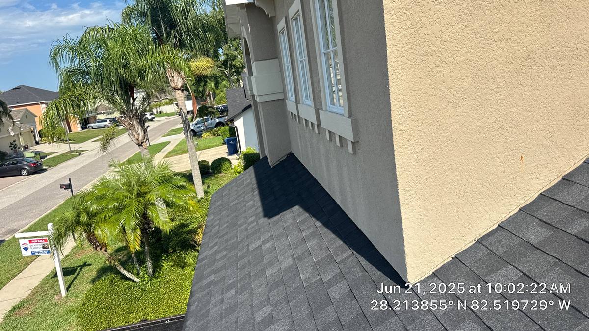 shingle roof replacement in Land O Lakes, Florida