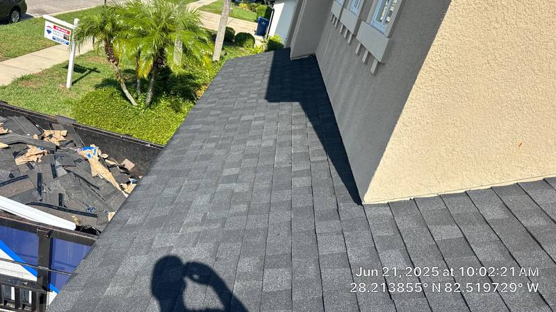 roofing project near Machair Ln in Land O Lakes