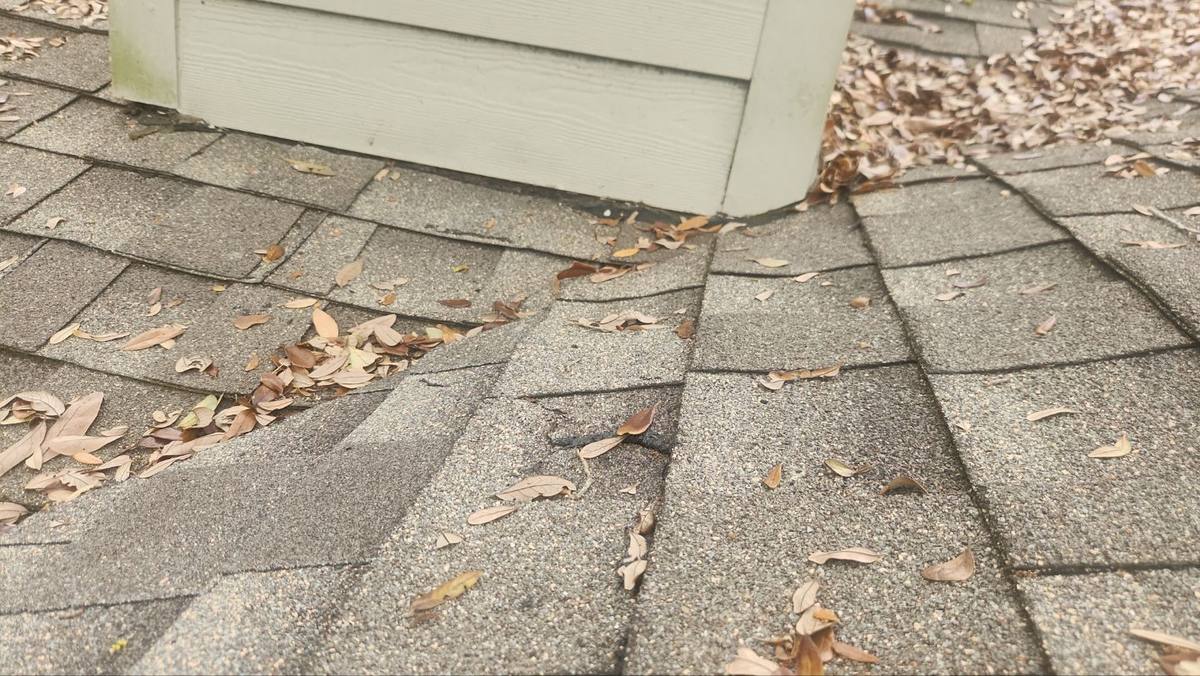 roof replacement in Safety Harbor, Florida