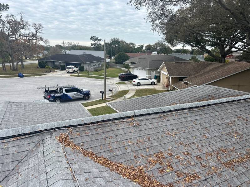 roof replacement in New Port Richey, Florida