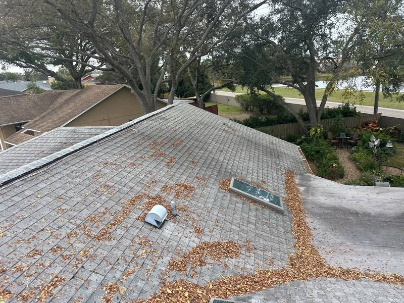 roofing project near March Ct in New Port Richey