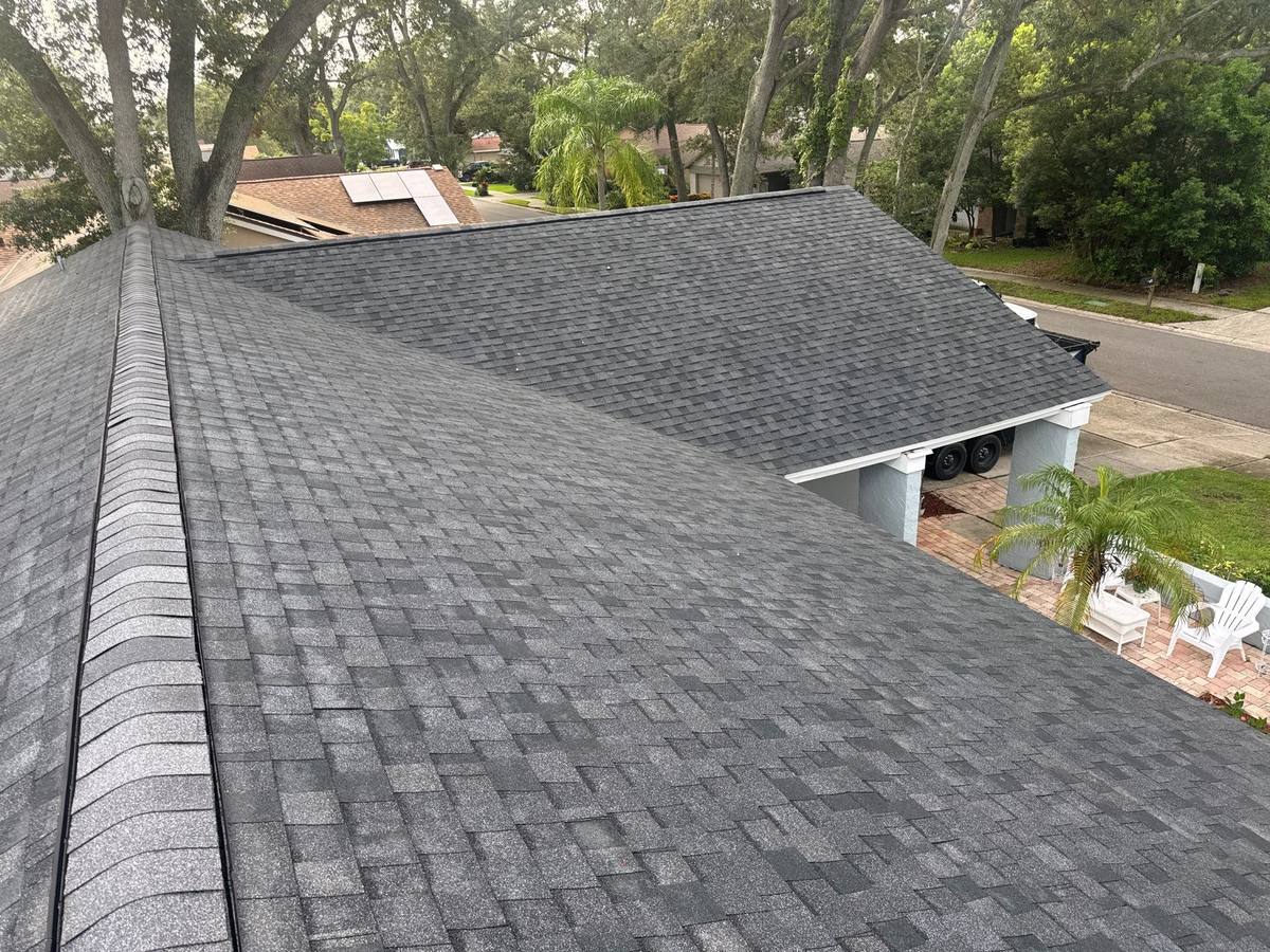 shingle roof replacement in Safety Harbor, Florida