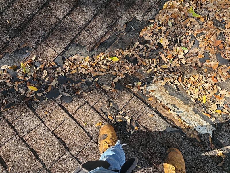 roof replacement in Clearwater, Florida