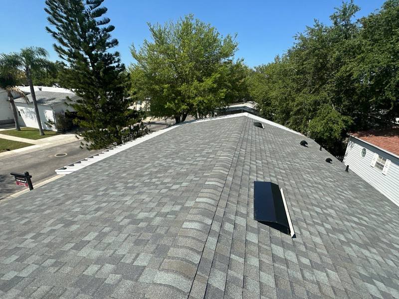 roofing project near Fantasia Park Way in Riverview