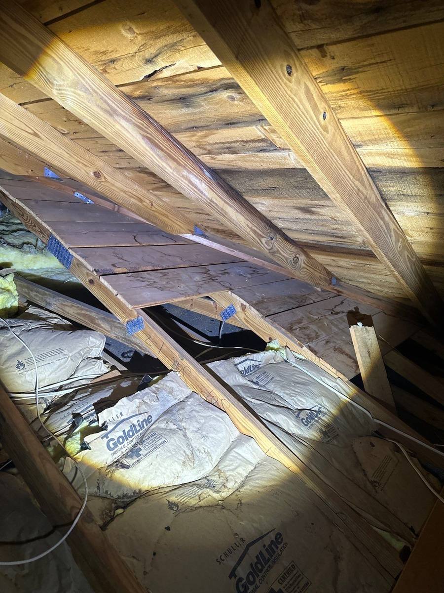 roof replacement in New Port Richey, Florida