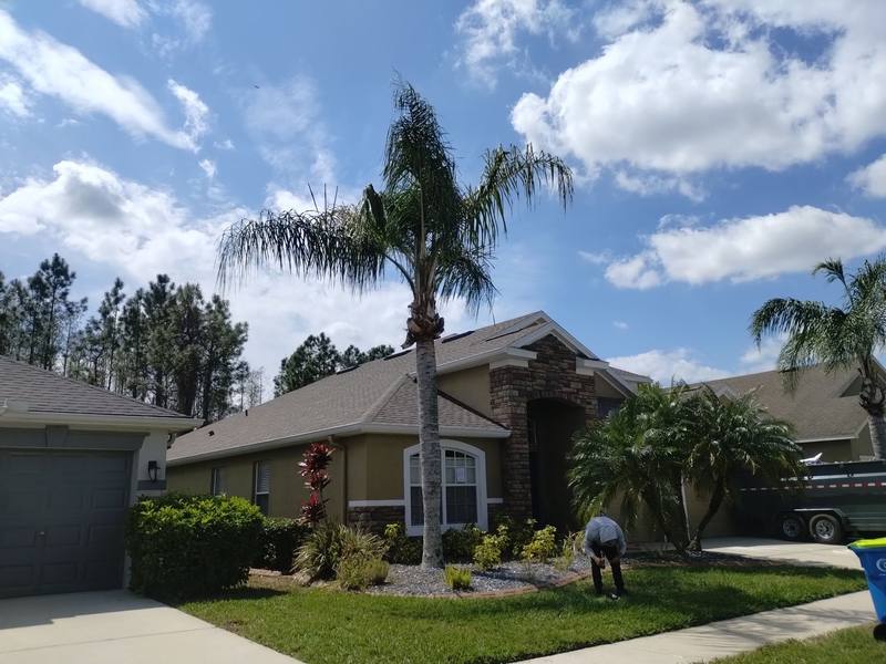 roofing project near Holcomb Pass in Wesley Chapel