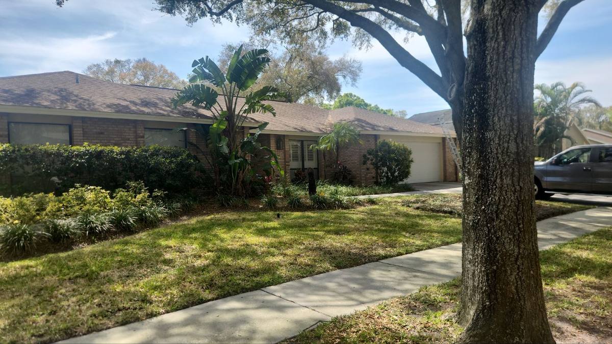 roof replacement in Tampa, Florida