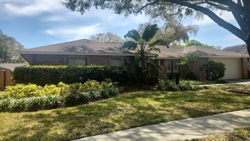 roof replacement in Tampa, Florida
