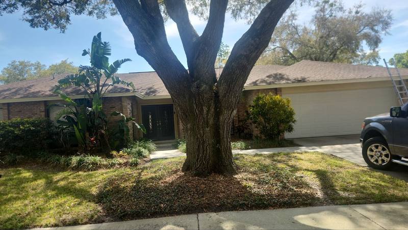 roofing project near Shady Shores Dr in Tampa