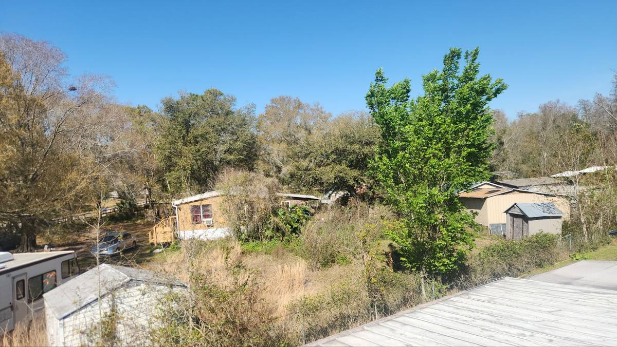 roof replacement in Wesley Chapel, Florida