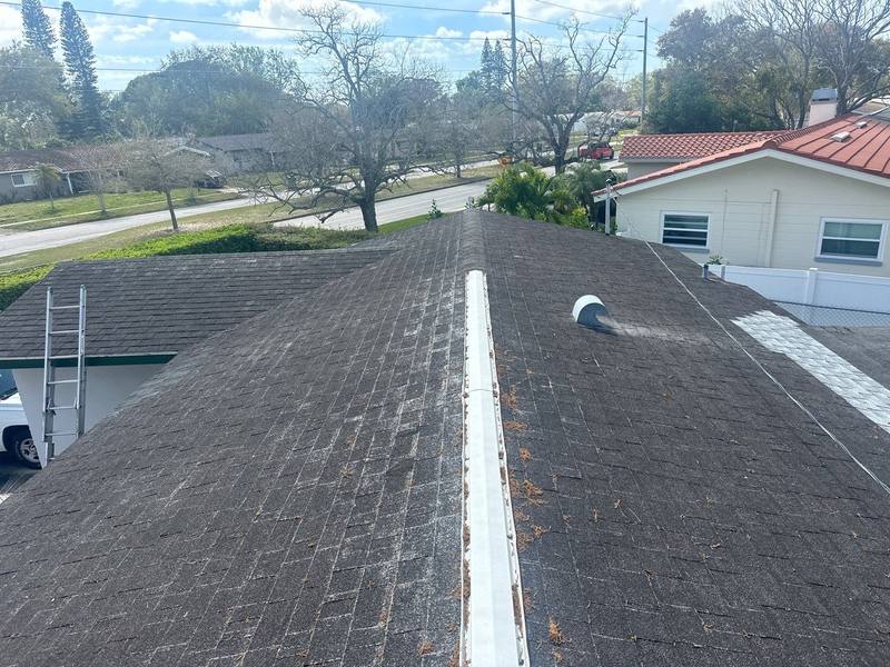 roof replacement in St. Petersburg, Florida