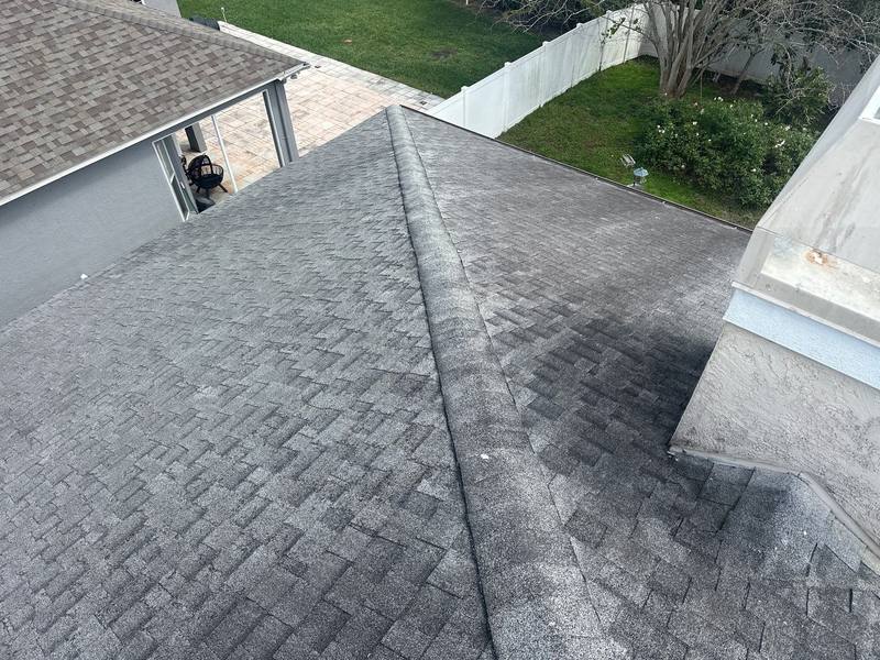 roof replacement in Land O' Lakes, Florida