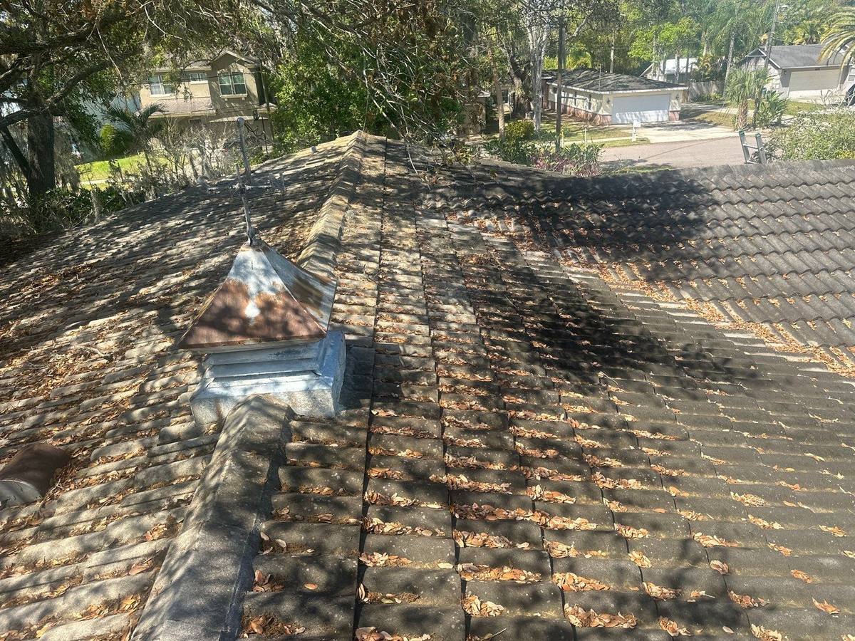 roof replacement in Safety Harbor, Florida
