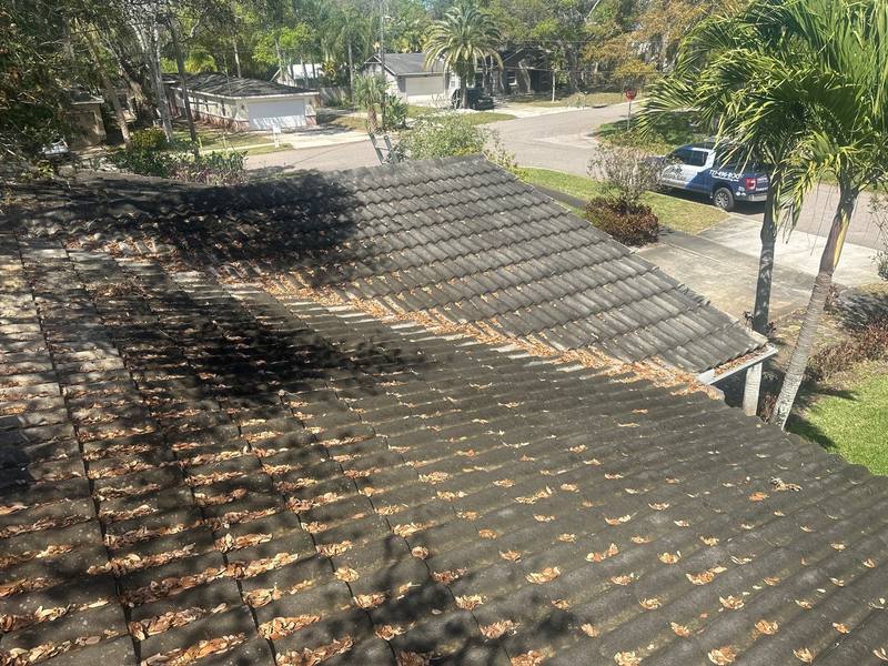 roof replacement in Safety Harbor, Florida