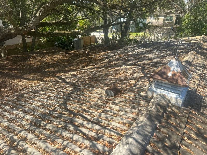 roofing project near Palmetto Dr in Safety Harbor