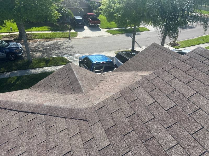 residential roof replacement by Hloska Roofing in Land O' Lakes