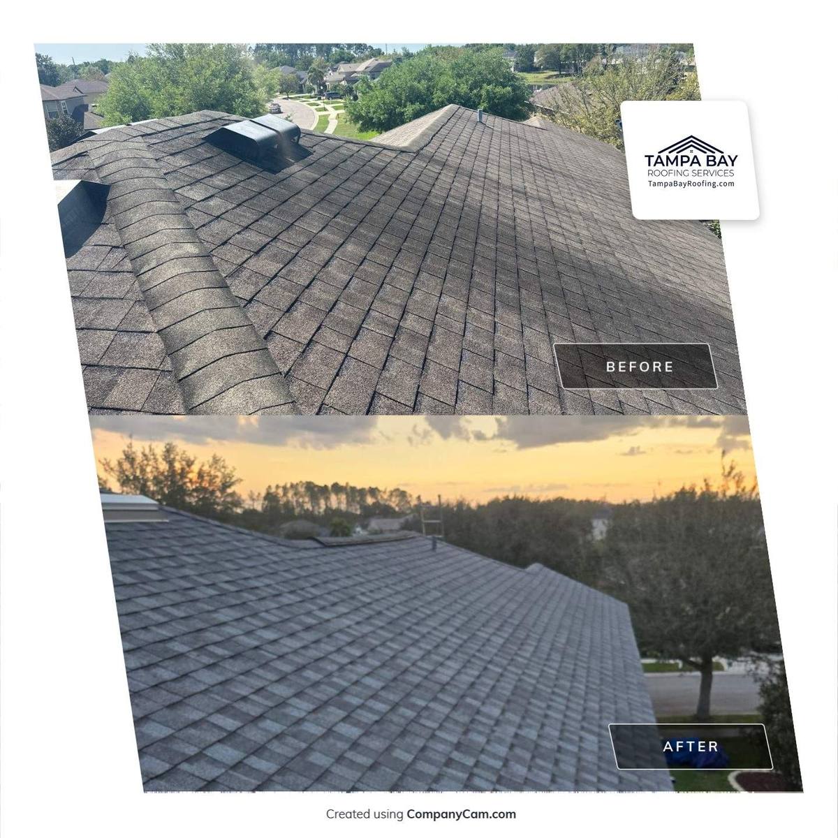 shingle roof replacement in Wesley Chapel, Florida