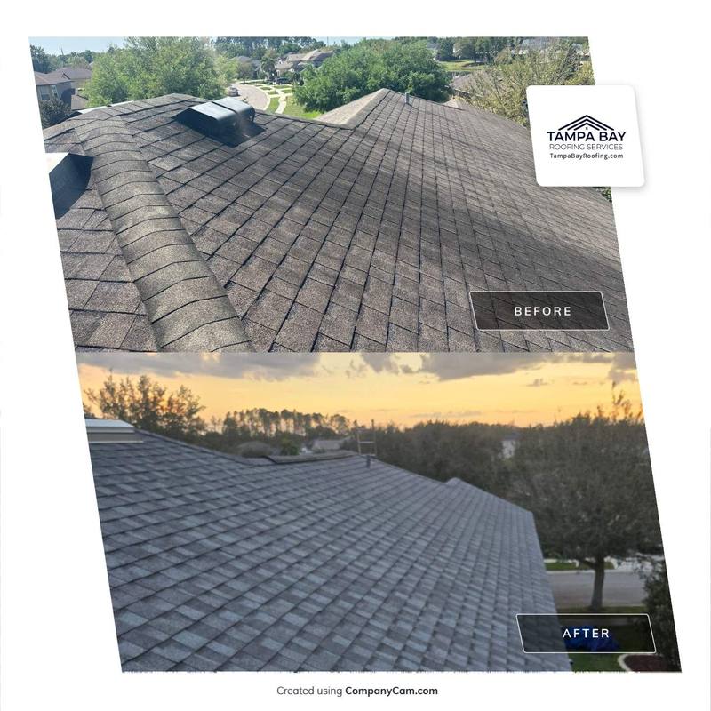 residential shingle roof replacement by Hloska Roofing in Wesley Chapel