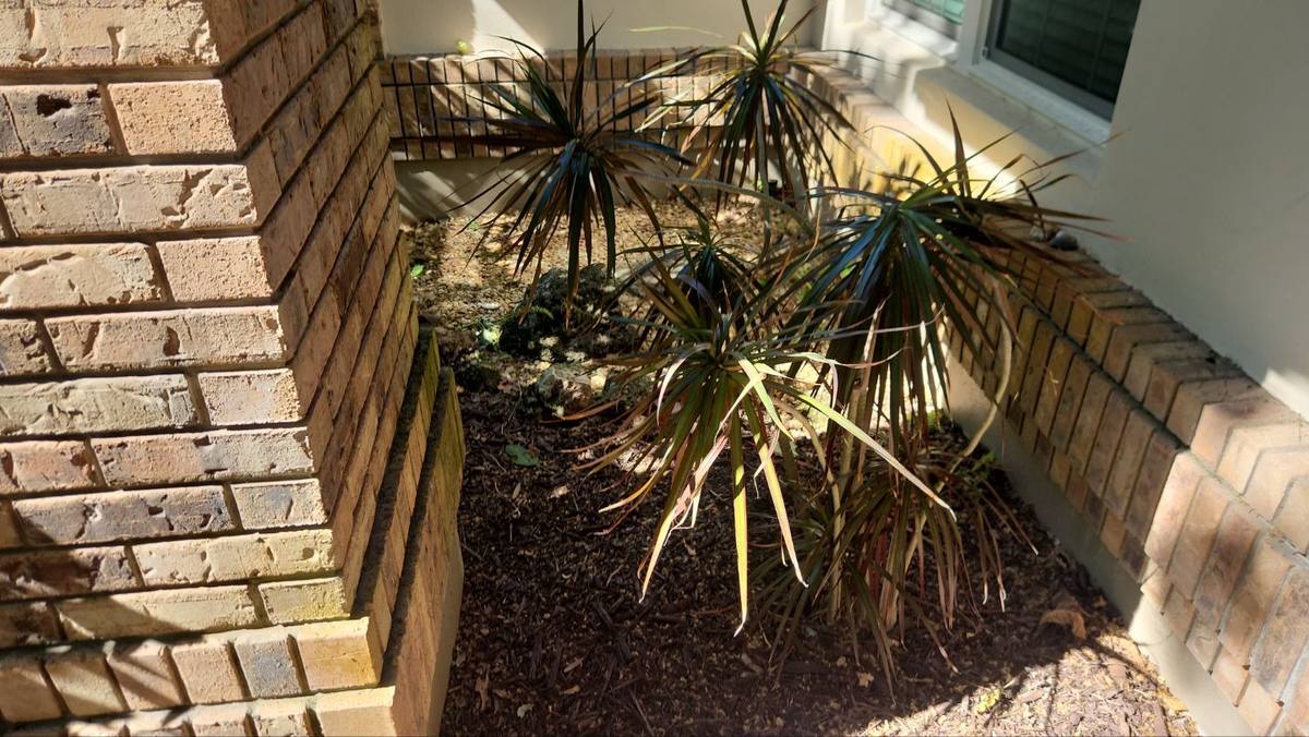 roof replacement in Palm Harbor, Florida