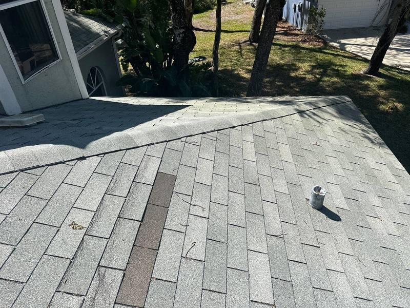 roof replacement in New Port Richey, Florida