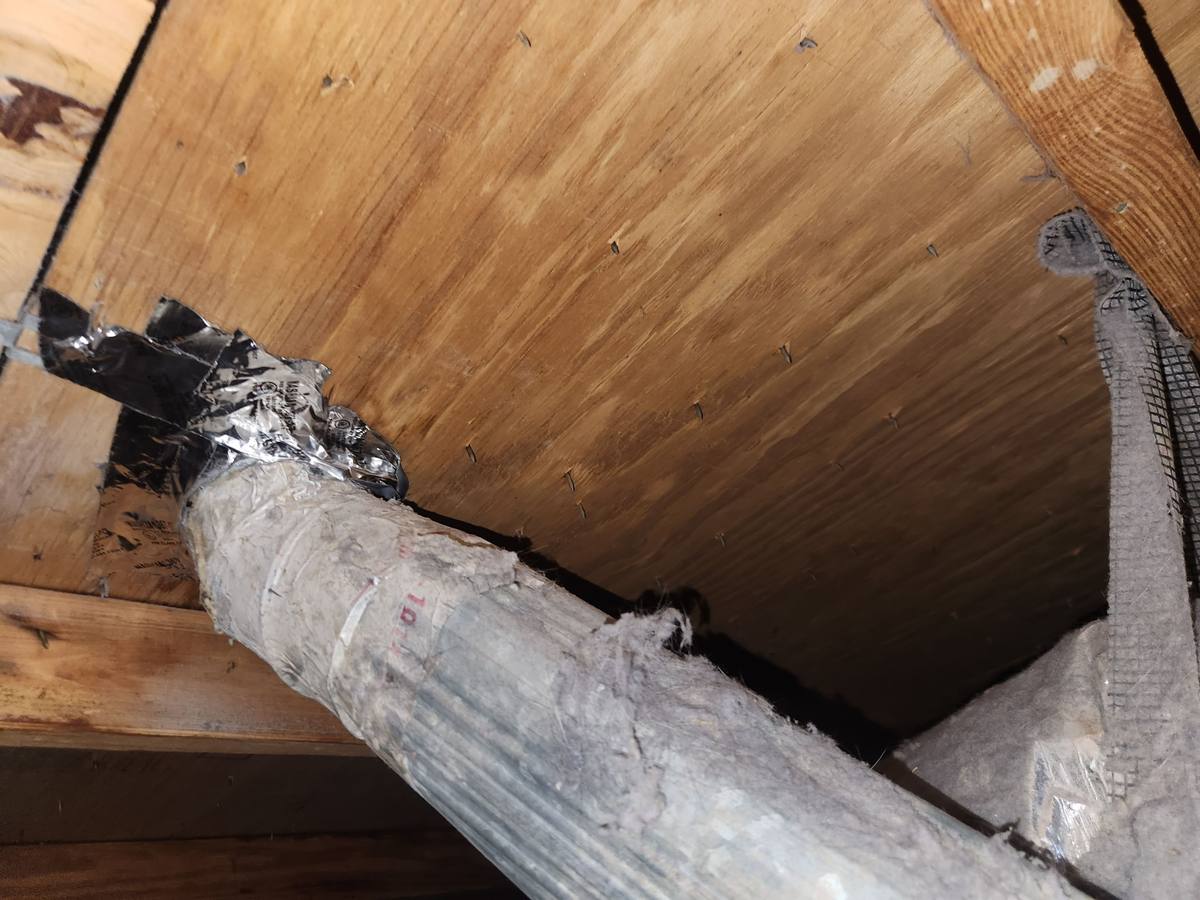 roof repair in Palm Harbor, Florida