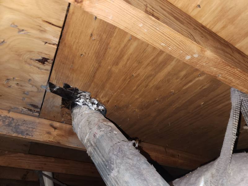 residential roof repair by Hloska Roofing in Palm Harbor