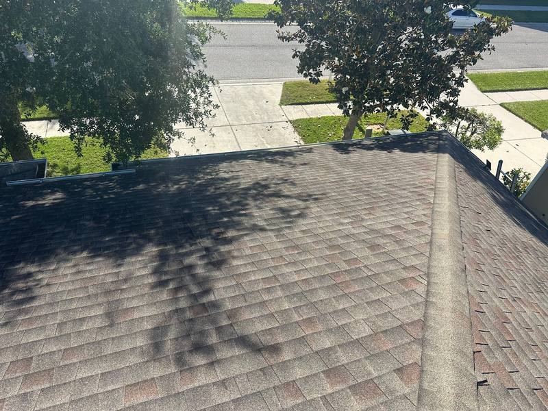 roofing project near Seafield Ln in Wesley Chapel