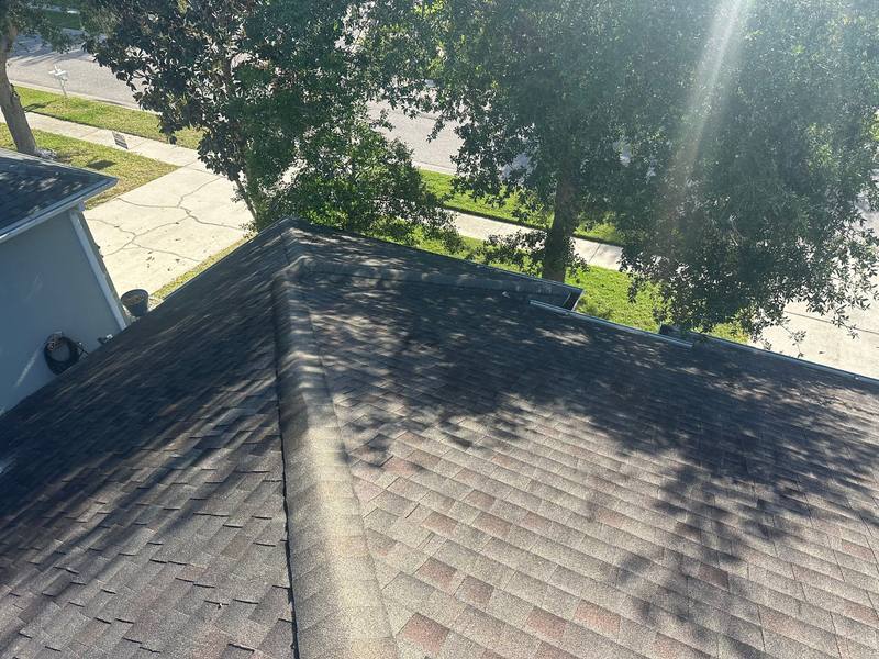 roofing project near Seafield Ln in Wesley Chapel