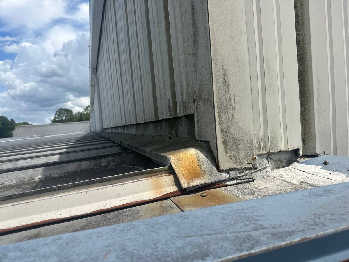 roof replacement in Oldsmar, Florida