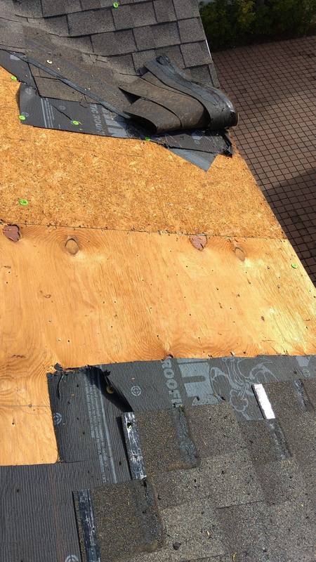 residential roof replacement by Hloska Roofing in Tampa