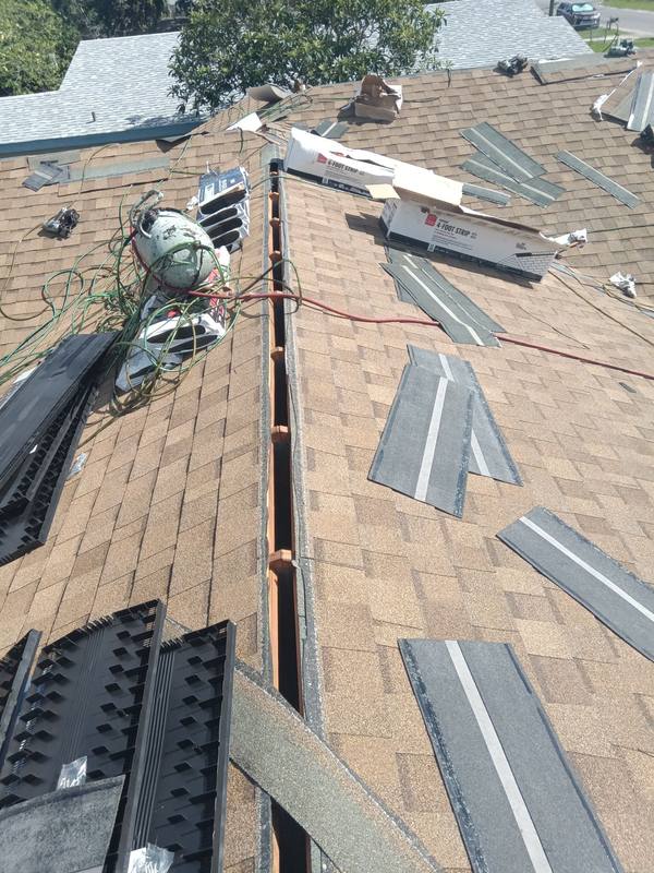 shingle roof replacement in Palm Harbor, Florida