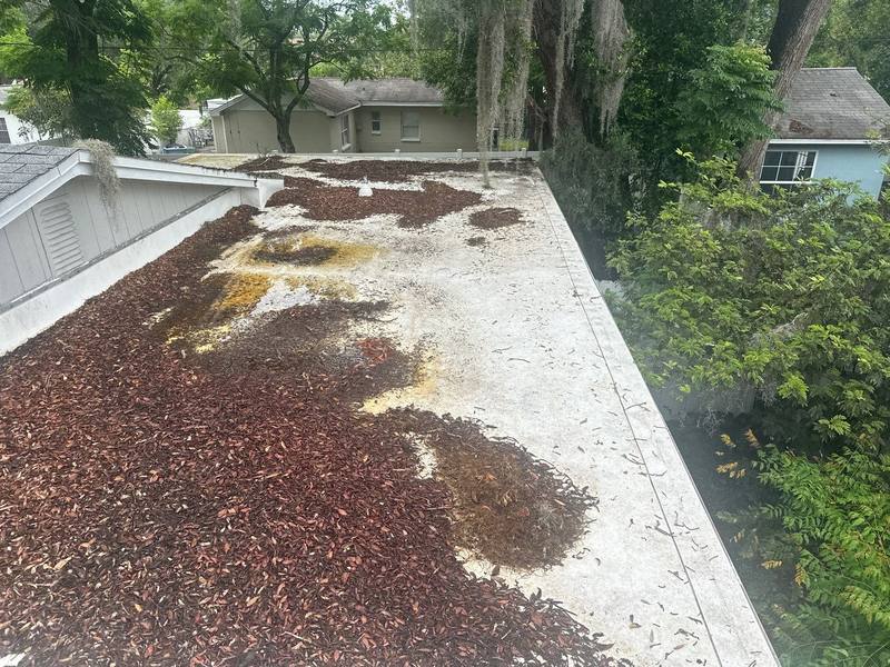 residential roof replacement by Hloska Roofing in Tampa