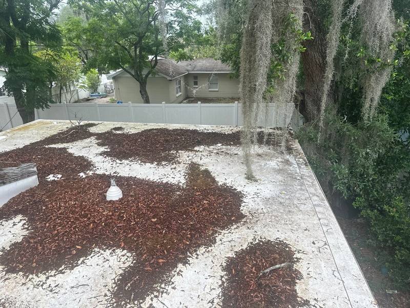 roof replacement in Tampa, Florida