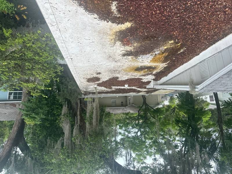 residential roof replacement by Hloska Roofing in Tampa